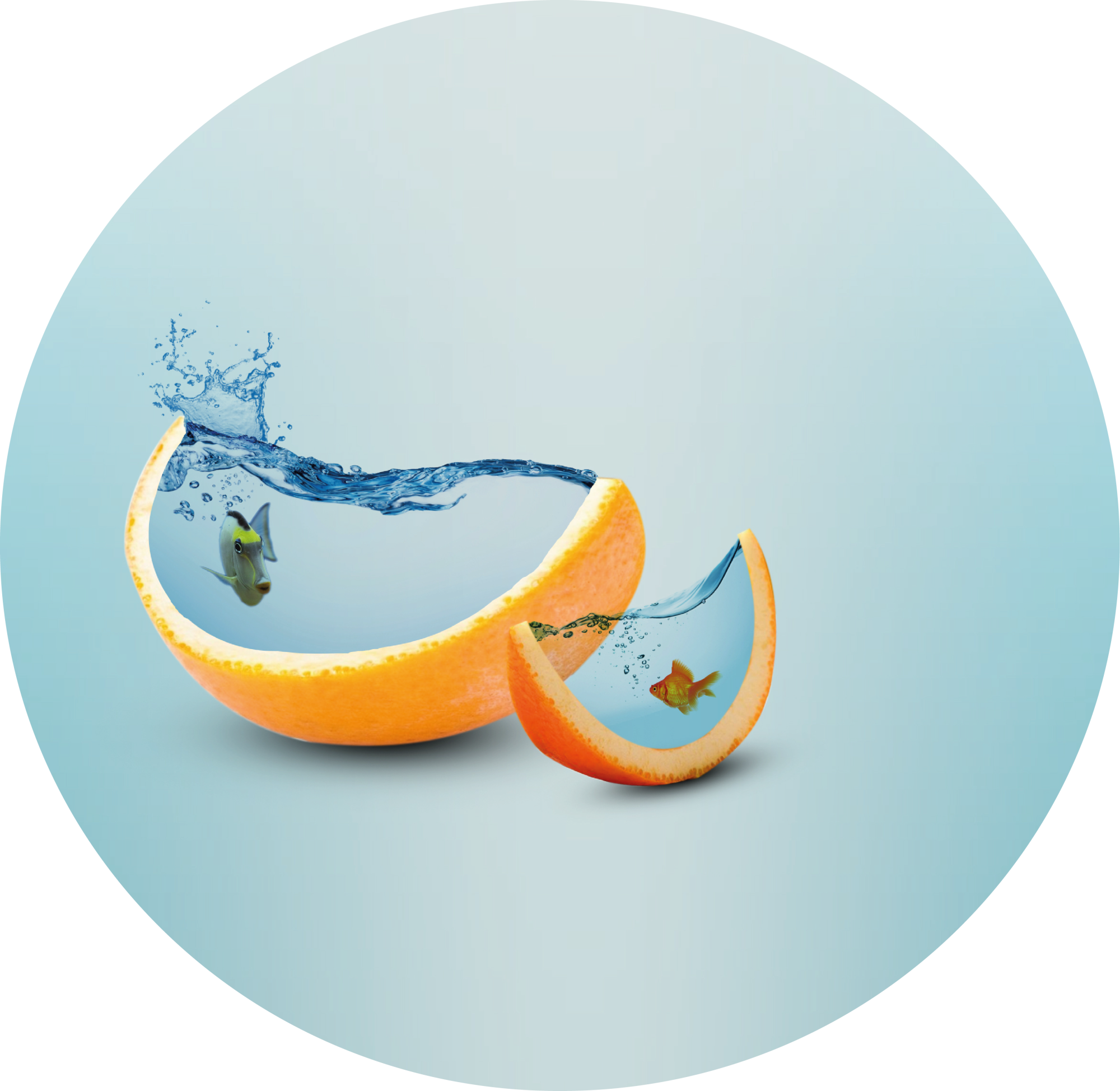 Certification Funny Learning : application des neurosciences à la formation